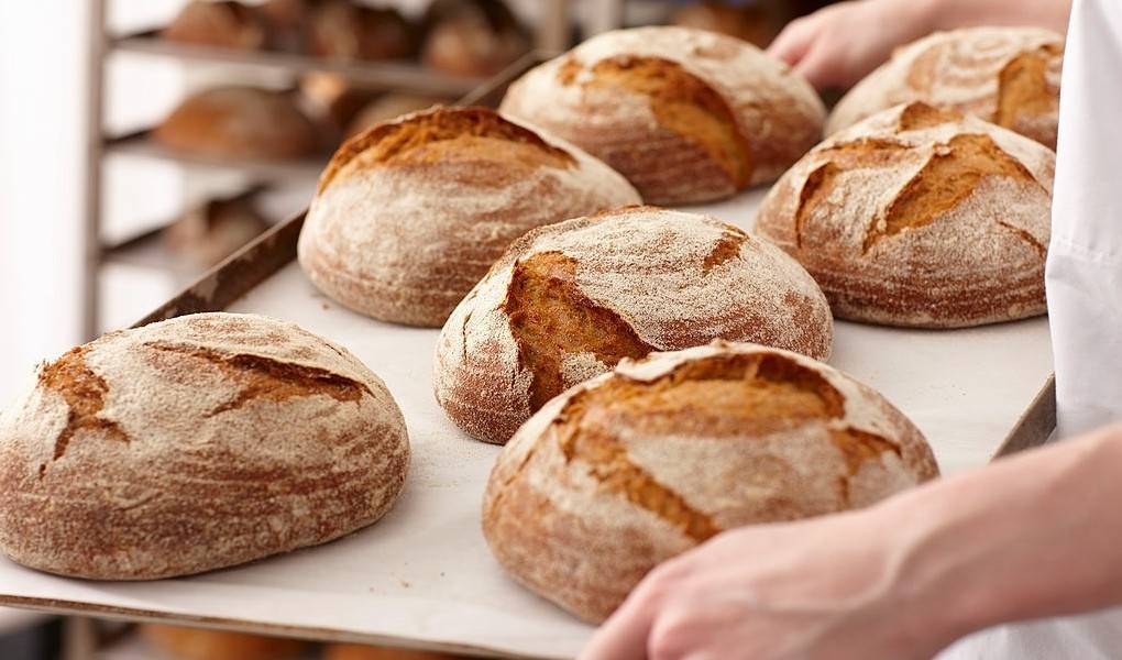 PANADERÍA ARTESANAL Y PANADERÍA INDUSTRIAL: ¿QUÉ DIFERENCIAS EXISTEN?